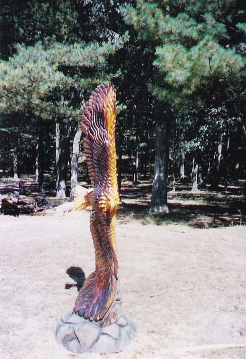 Eagle Sideways